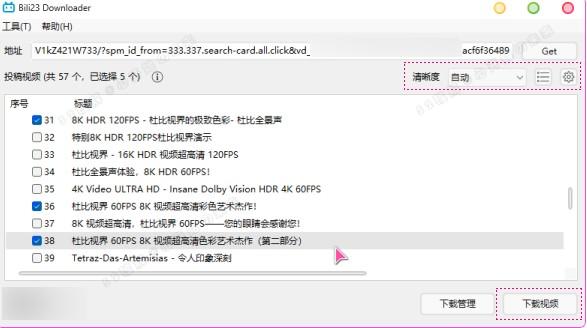 B站视频下载器 Bili23-Downloader v1.55.0 新春版，支持自动高音画质