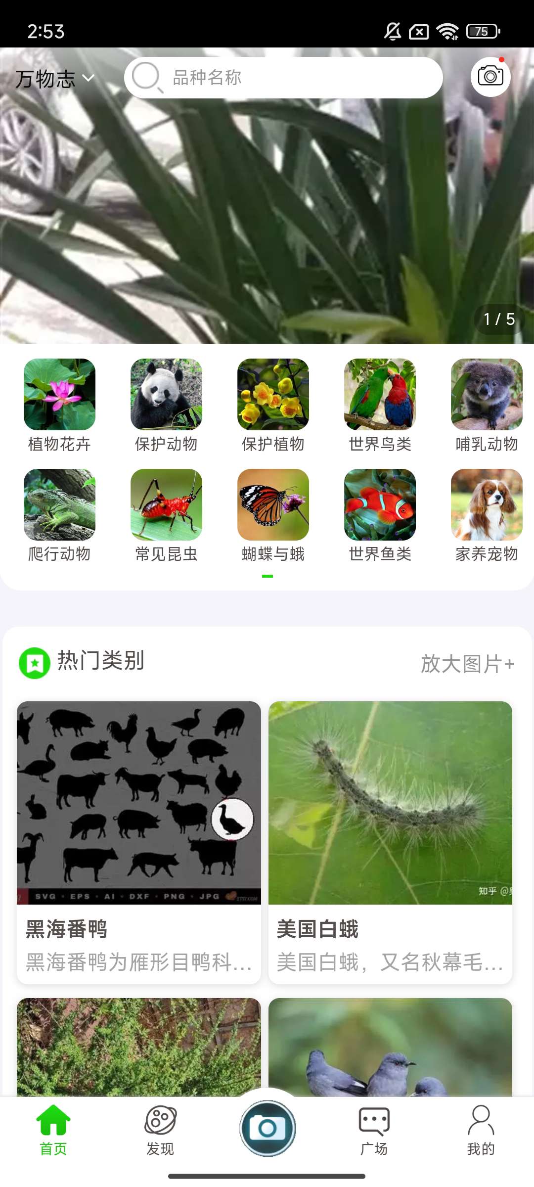 【手机软件】万物志智能识别工具免费百科全书