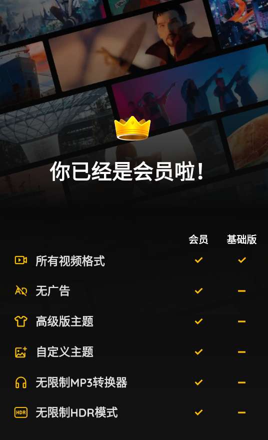 【手机软件】万能播放器2.4.9.3会员版支持多种格式